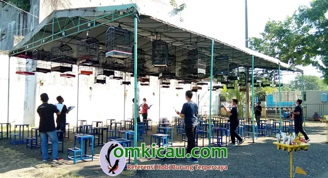 kelas cucak ijo