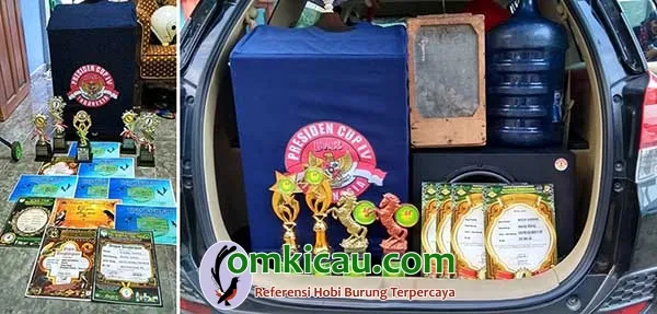 kacer jawara