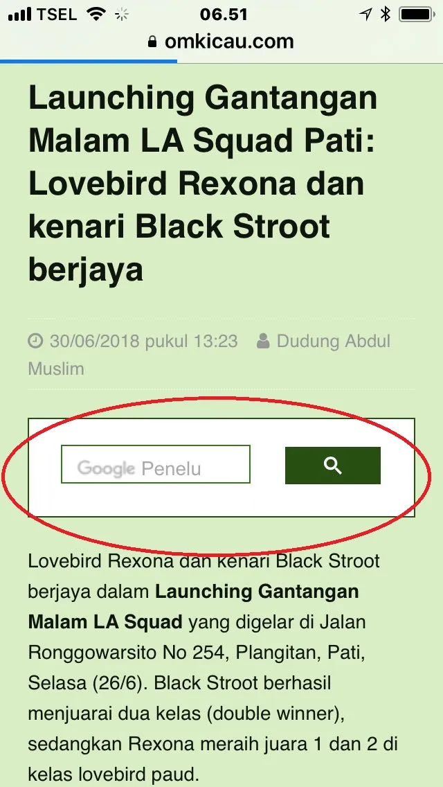 Kotak pencarian artikel omkicau.com.