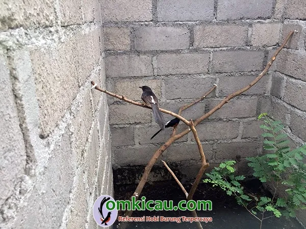 Putra Kencana BF Denpasar Putra Kencana BF Denpasar