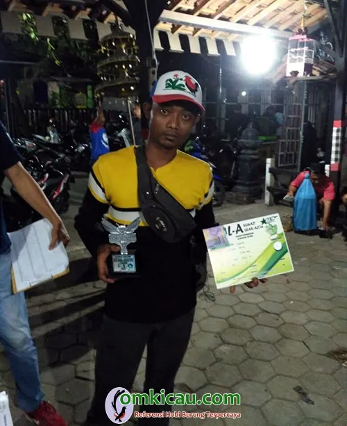 Pleci Shiva