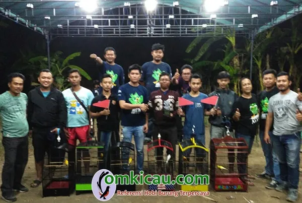 kenari Kuda Hitam