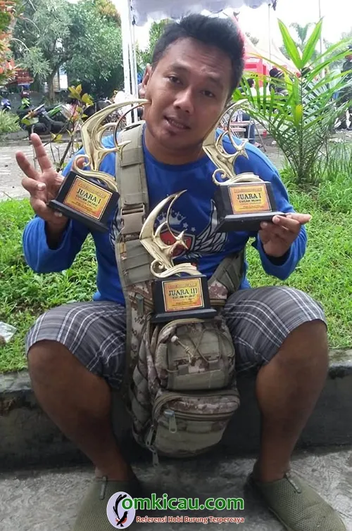 perawatan cucak ijo