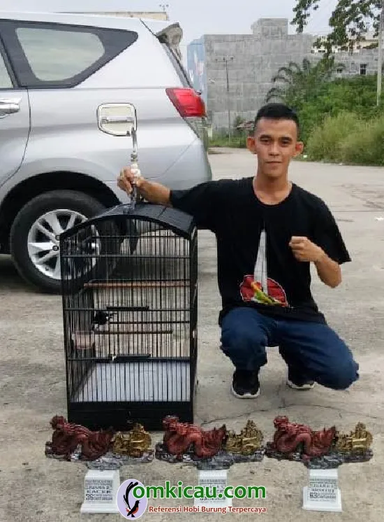 Om Indra Plaju BC