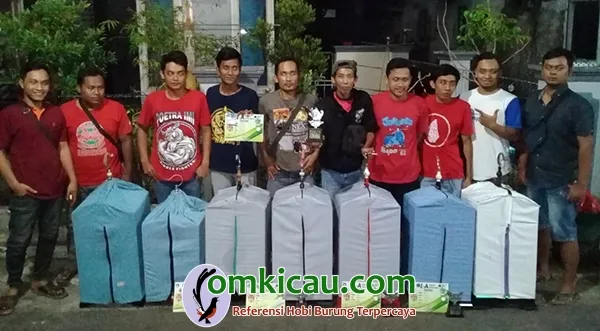 hasil lomba burung