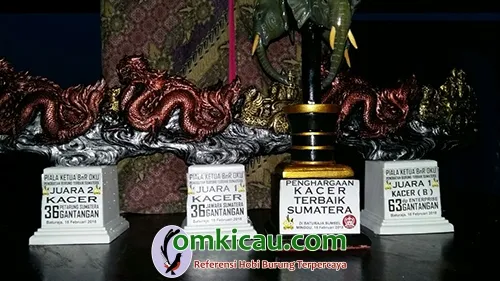 kacer jawara