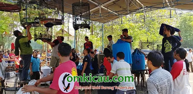 Road to Dandim Cup II