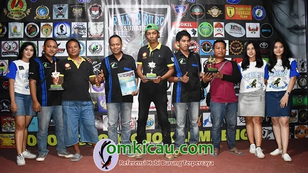 hasil lomba burung