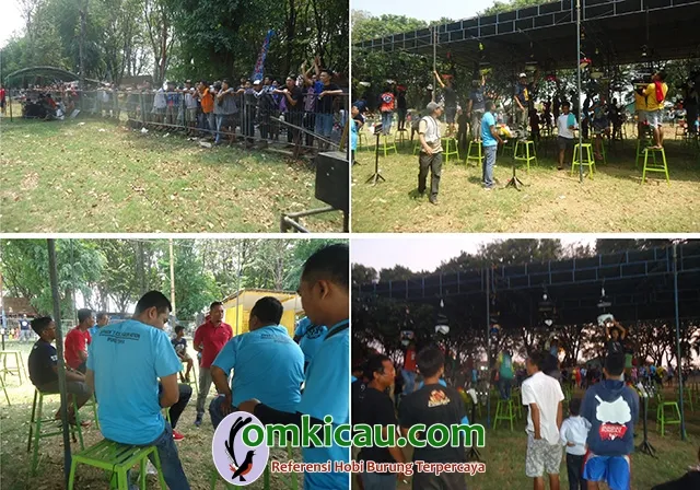 Jepara's Colaboration Jepara's Colaboration