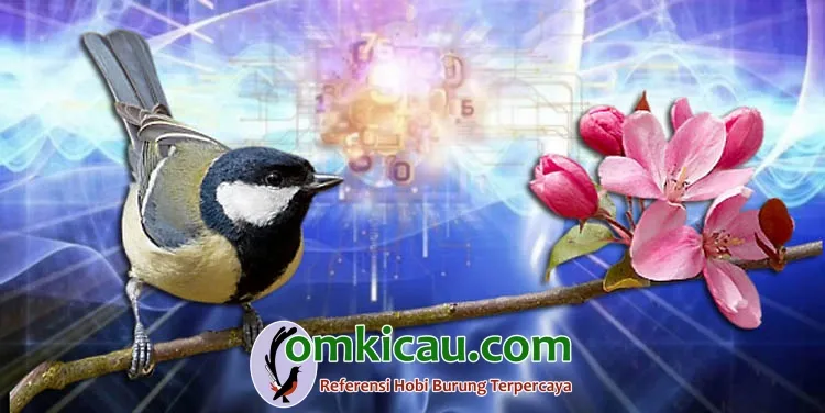 Audio terapi binaural Terapi burung dengan audio binaural