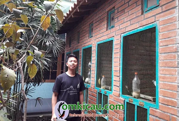 Delanggu BF Delanggu BF