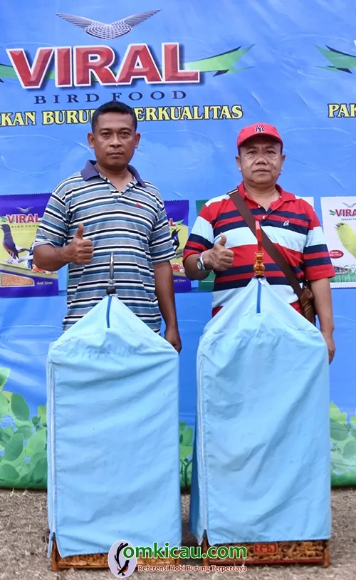 Om Aries Ngesrep