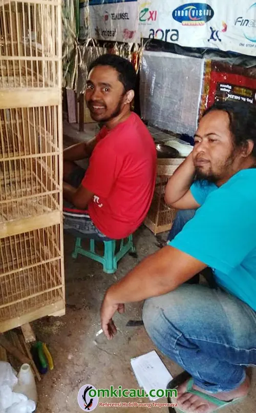 Canary Campus BF Malang cara ternak burung kenari
