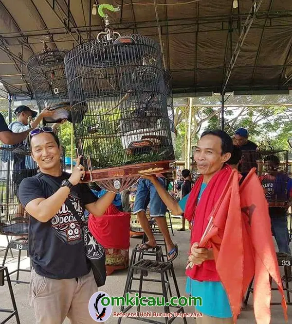 cara merawat burung murai batu