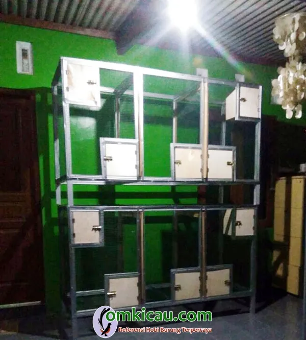 kandang poligami murai batu