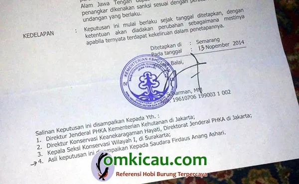ternak jalak bali