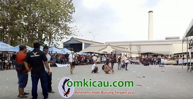 Solo Vaganza Cup 2