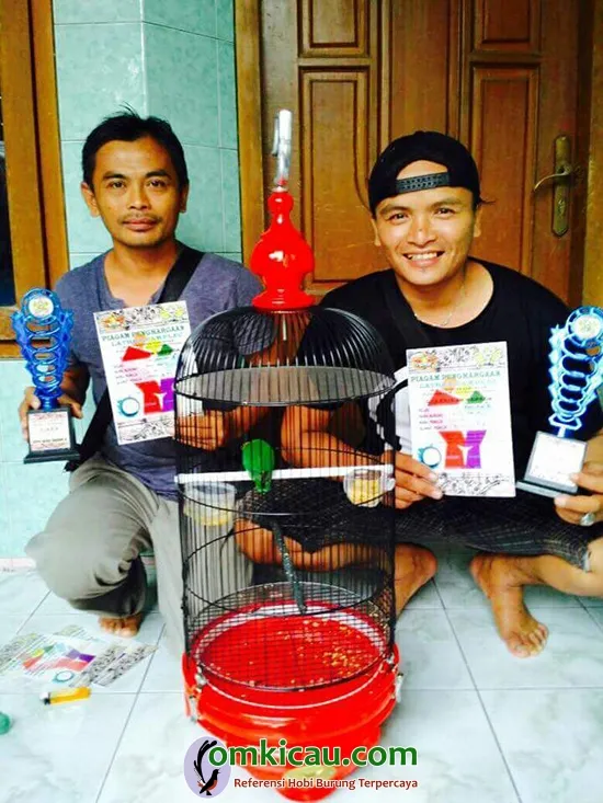 lovebird jawara