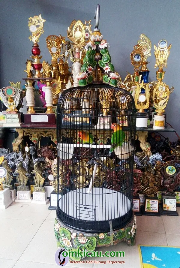 perawatan lovebird