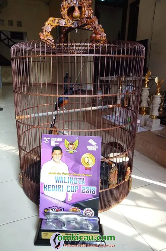 murai batu jawara