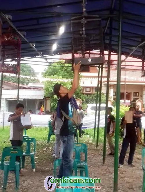 Om Alif Saat Gantang Burung