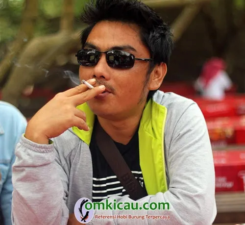 Om Deni AP