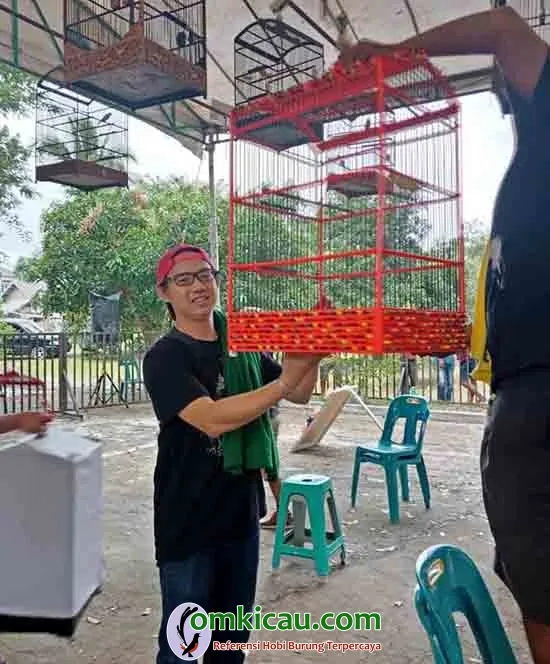 cucak ijo jawara