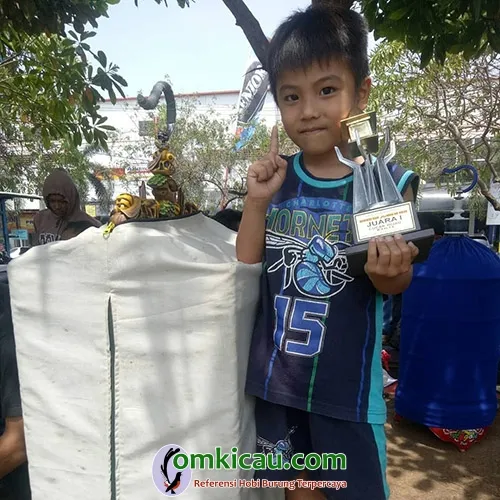 cara merawat burung cucak ijo