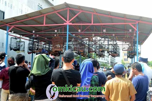 Launching Lapangan SRH Team Bangko