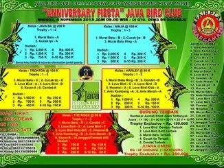 Anniversary Fiesta Java Bird Club