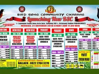 Launching New BSC