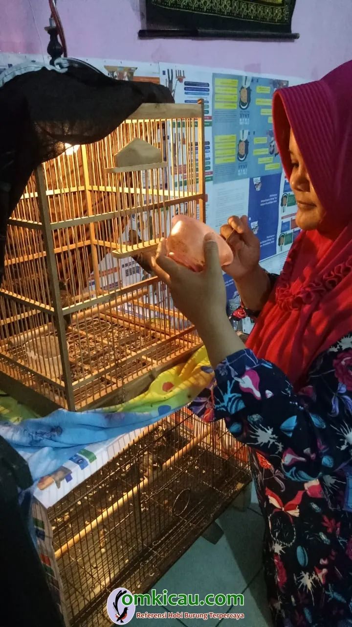 Barokah BF KDS