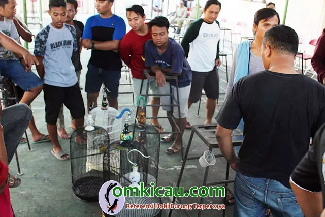 Expo Peternakan