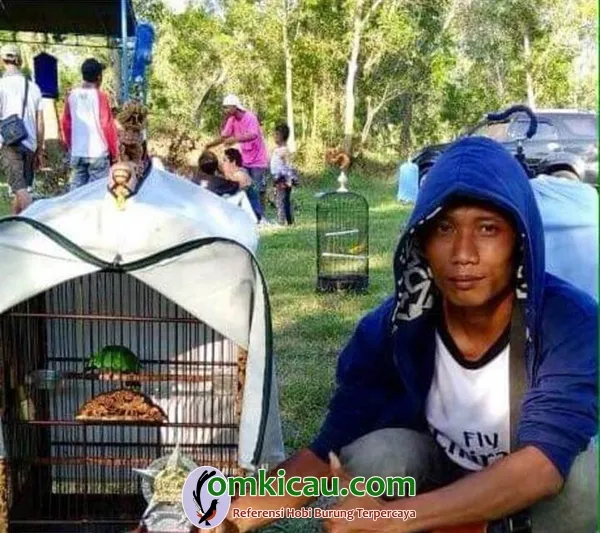 tips perawatan cucak ijo