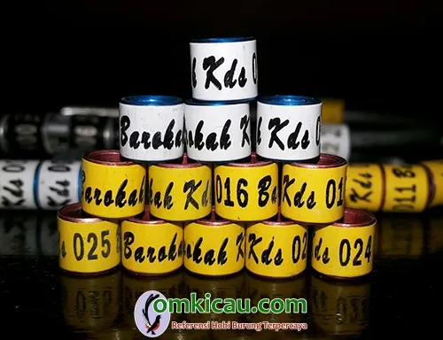 Barokah BF KDS