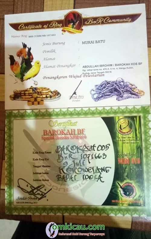 ternak murai di Kudus