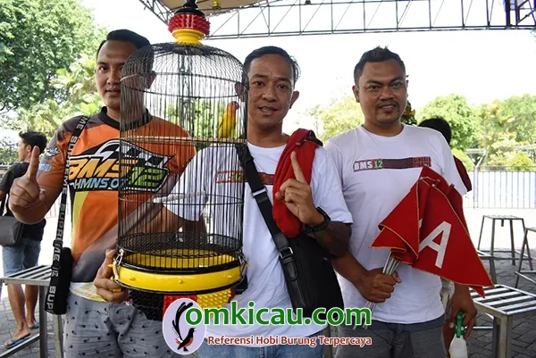 lovebird Bintang Matrix
