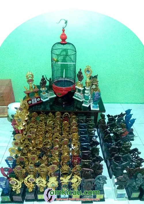 lovebird jawara