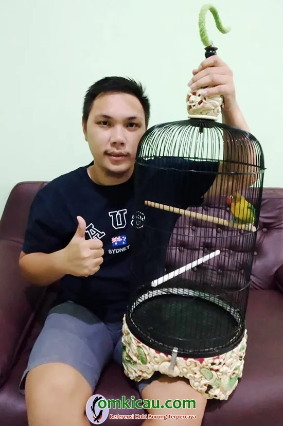lovebird juara