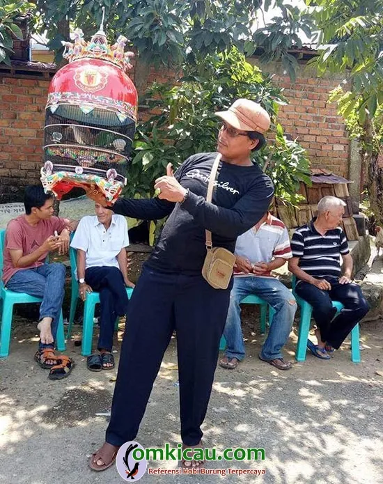 ternak perkutut