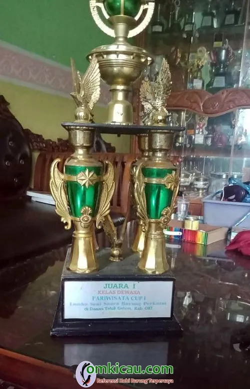 perkutut juara