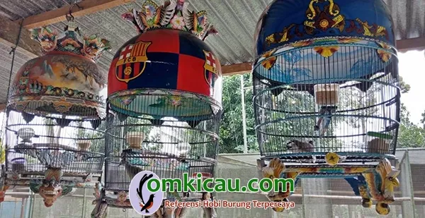 penangkaran perkutut