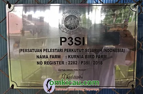 P3SI