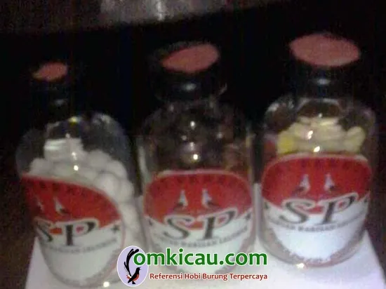 obat perkutut