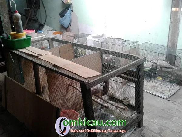 Kandang ternak puter pelung