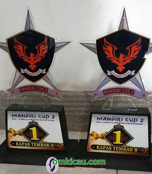 kapas tembak Nagisa