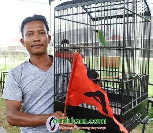 cucak ijo Angling Darmo
