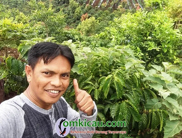 Om Dika