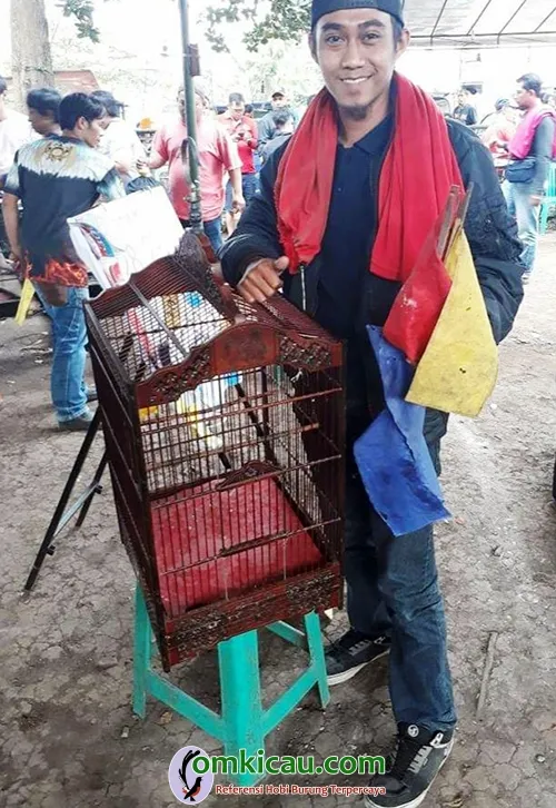 bendera koncer