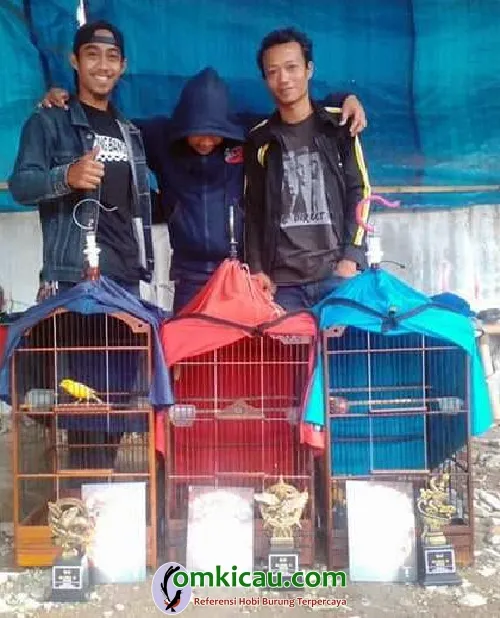 Om Ojhell